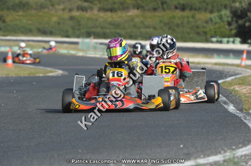 DSC (3963).JPG